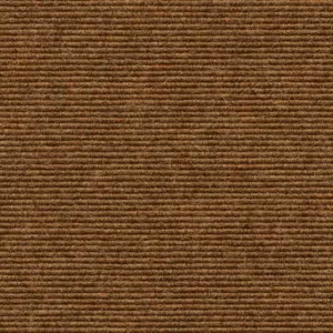 Interland - 1010110572 572 - Nougat