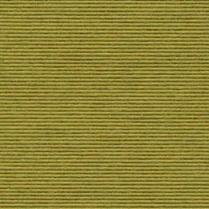 Interland - 2020211643 643 - Tundra