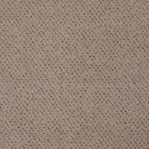 Pilotis - LSQS.400.0262 262 CAMEL