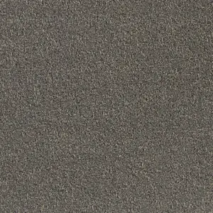 Minerva - LMIN.400.0830 830 ASH