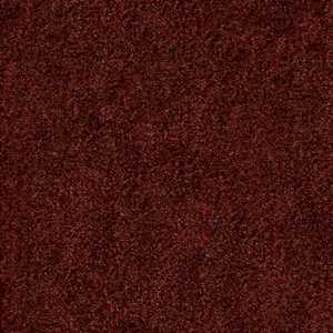 Ambience - Ambience10400 10