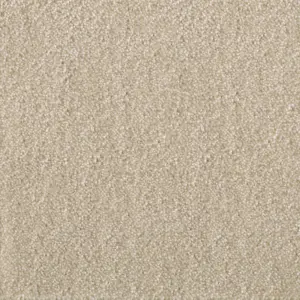 Ambience - Ambience34400 34