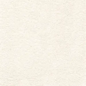 Victory - Victory4500 04