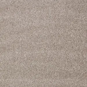 Secret New, Sensualite - FSNEWTA49500P 49