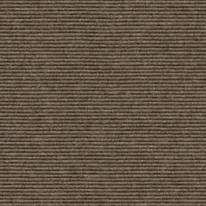 Interland - 1010110601 601 - Treibholz