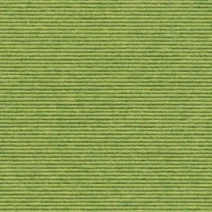 Interland - 2020211622 622 - Wasabi