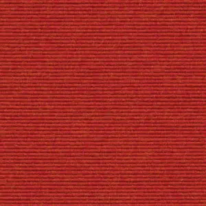 Interlife - 2021113582 582 - Grapefruit