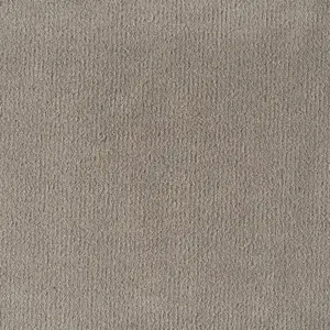 Pleasure - LPLE.500.0220 0220 ACORN