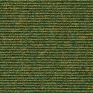 Interland - 2020111556 556 - Farn