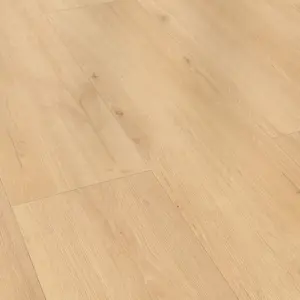 Sky.WoodXL - 4026XL Eiche natur beige XL