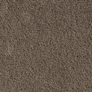 Ambience - Ambience49500 49