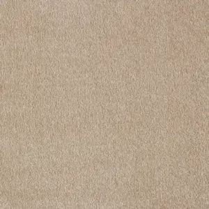 Obsession, Sensualite - FOBSETA36400P 36