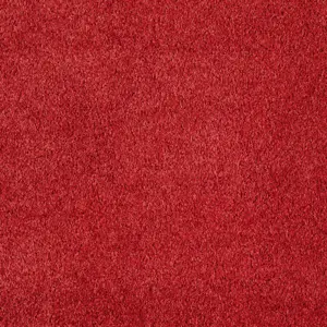 Scent, Sensualite - FSCTETA11500P 11