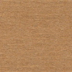 Interland - 1010110602 602 - Cashew