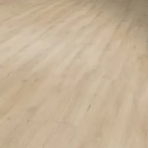 Virtuo 55 Dryback - 39260996 Sunny Light