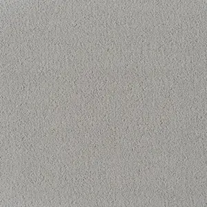Zen - LZEN.400.0872 0872 SILBER