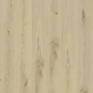 Essence 30 - 260055003 Primary Oak Beige