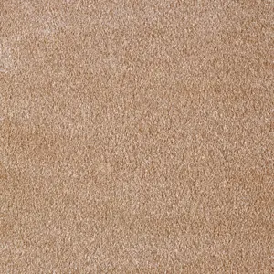 Secret New, Sensualite - FSNEWTA43500P 43