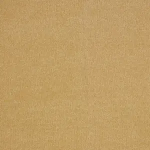 Sentiment, Sensualite - FSENTTA54400P 54