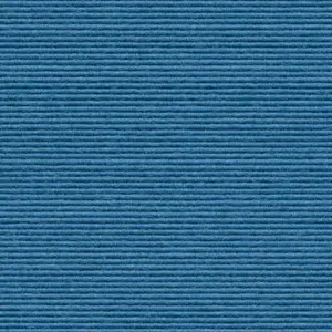 Interland - 2020211517 517 - Riviera