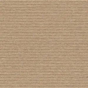 Interland - 2020211613 613 - Marzipan