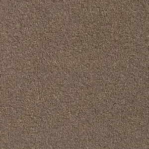 Pilotis - LMIN.400.0270 270 ALMOND