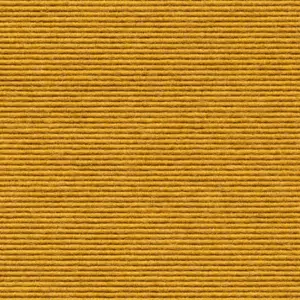 Interland - 1010110568 568 - Mais