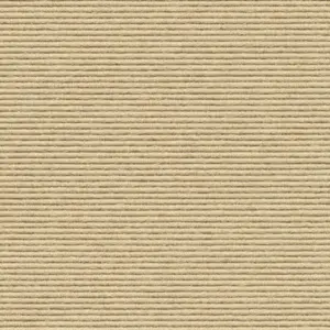 Interland - 1010110611 611 - Birne