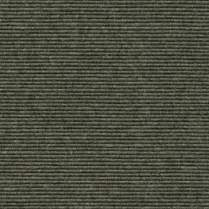 Interland - 2020211519 519 - Salbei