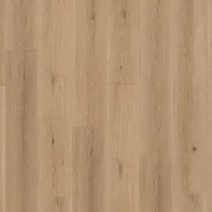 24627090 AUTHENTICS - Highland Oak - Noisette