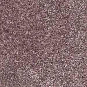 Moments - Moments66500 66