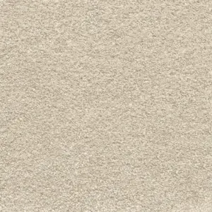 Victory - Victory36500 36