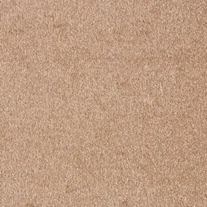 Sensation New, Sensualite - FSSNWTA41400P 41