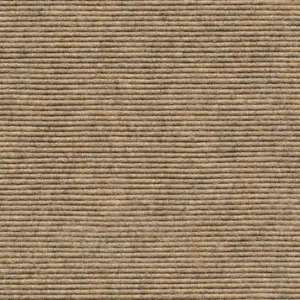 Interland - 1010110555 555 - Gobi