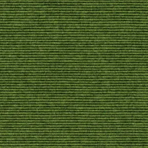 Interland - 1010110569 569 - Moos