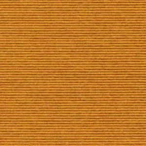 Interland - 2020211603 603 - Sonnenblume