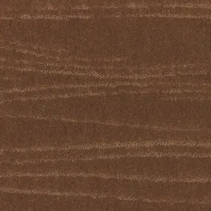 Pilotis - LCFB.400.0261 261 CAMEL