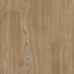 Texline HQR - C3732168 BOUTIC MEDIUM
