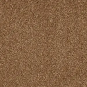 Zen - Zen40500 40