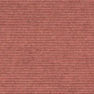 Interland - 1010110588 588 - Rosa