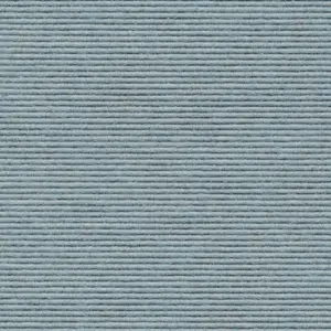 Interland - 2020211641 641 - Arktis