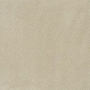 Pleasure - LPLE.400.0260 0260 CAMEL