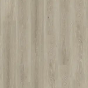 Essence 30 - 260055008 Tribe Oak Grey