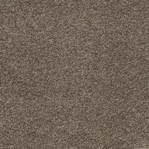 Glory - Glory45500 45