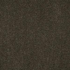 Zen - Zen29500 29