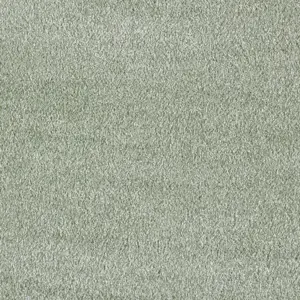 Secret New, Sensualite - FSNEWTA25400P 25