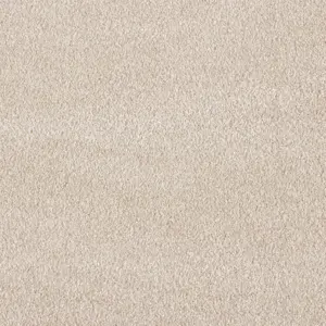 Secret New, Sensualite - FSNEWTA33500P 33