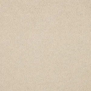 Vibes, Vivendi - FVBESTA33500P 33