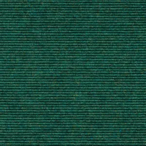 Interland - 1010110558 558 - Opal