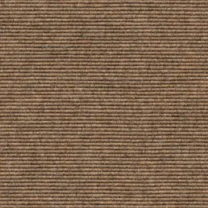 Interland - 1010110571 571 - Sahara